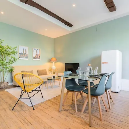 Functional In The Heart Of Old Apartment Lille